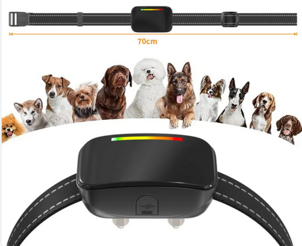 Mascotas Collar de Entrenamiento Inteligente | Adiestramiento Seguro & Efectivo para Perros