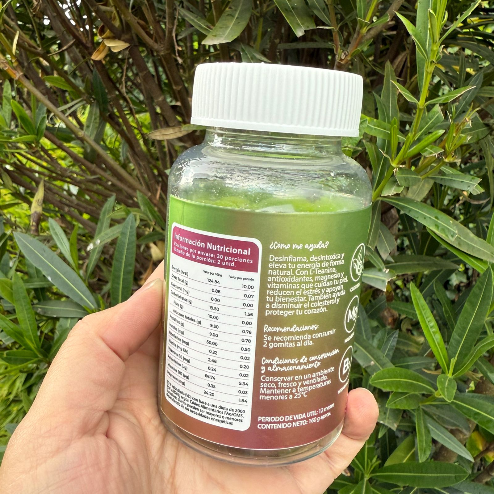 Suplementos CURVY GUMMIES MATCHA | Gomitas de Té Verde con Magnesio y Vitamina B2 160g